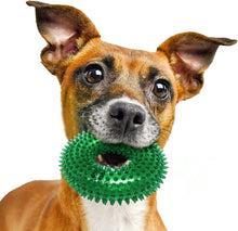 Bonita Pet Green Ring Chew Toy 4.5"