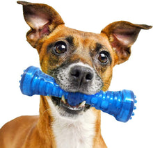 Bonita Pet Dog Chew Toy - for Aggressive Chewer Indestructible Interactive Boredom Training Promotes Dental Health & Clean Teeth Relieves Anxiety Stress Blue Stick