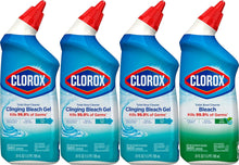 Clorox Toilet Bowl Cleaner with Bleach Variety Pack - 24 Ounces - Pack of 4 (Package May Vary)