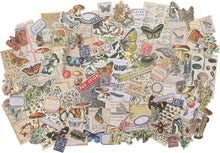 Tim Holtz Idea-ology EPHEMERA SNIPPETS ID FIELDNOTES, us:one size, Field Notes